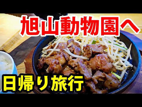 【東京→旭川 日帰り旅行】1日で旭山動物園を楽しんで帰ってくる旅行