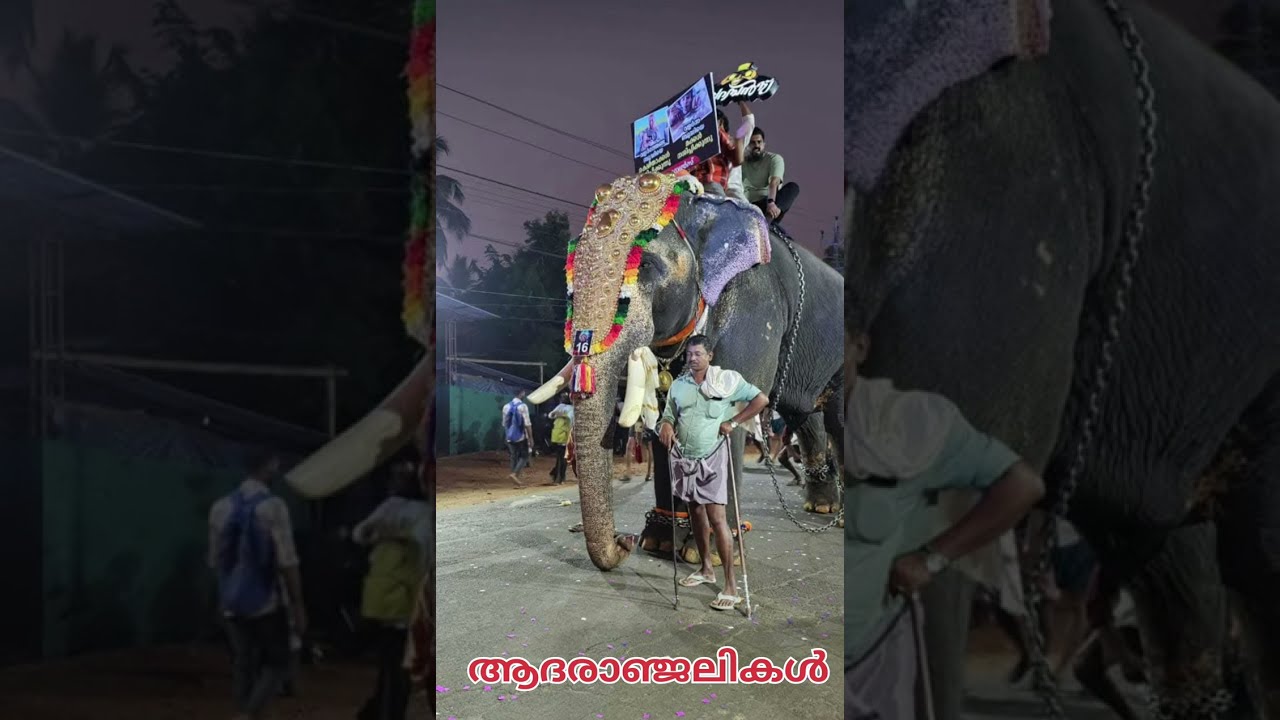 കുഞ്ഞുമോൻ ചേട്ടൻ പങ്കെടുത്ത കിടിലൻ ടീം - കൂറ്റനാട് നേർച്ച 2025, Koottanad fest Team Vattapparambans