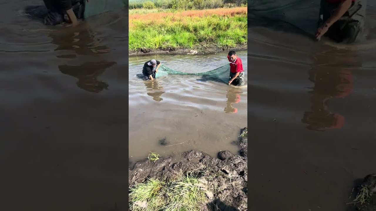 Fishing In Mohe The Northeast Joy Of Outdoor Wild Experience