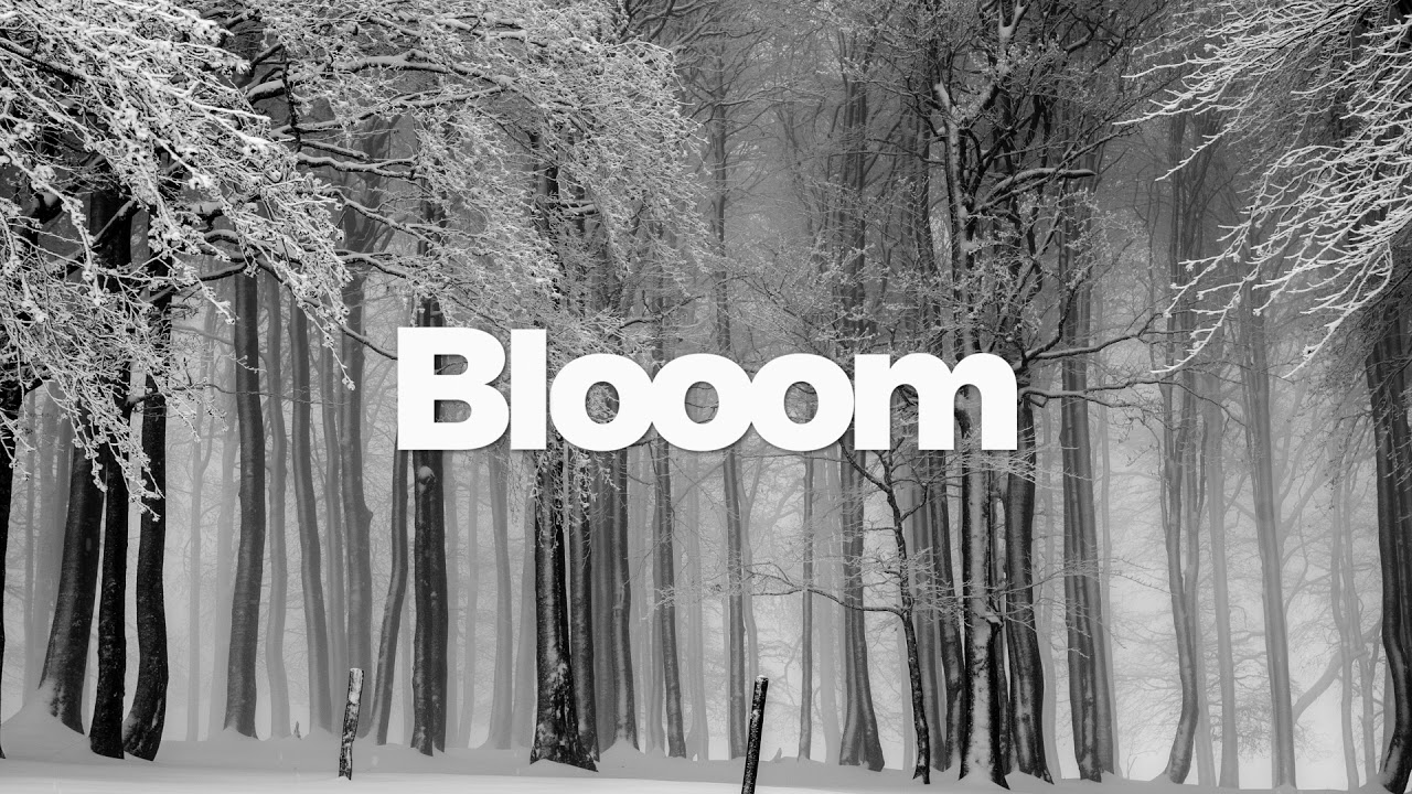 Cashmere Cat - Wild Love (Blooom Remix)