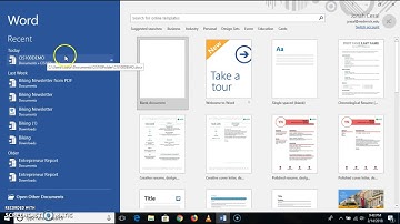 Computer Profiency Demonstration Assignment for CIS .100