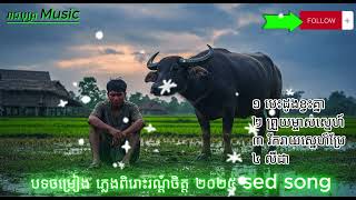 ព្រួយម្ចាស់ស្នេហ៍ បទចម្រៀងថ្មីពិរោះៗ បទសេដកំពុងល្បី - ២០២៥   [ រាជបុត្រ Music By ai ]