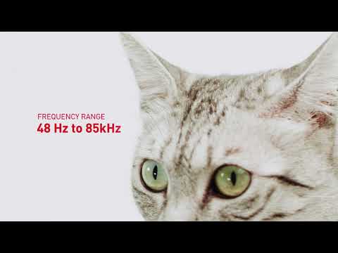 Royal Canin Sensory Cat Food