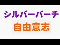 シルバーバーチが語る自由意志