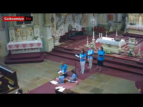 Esti Mária-köszöntő a Miskolci Versbarátok csoportjával