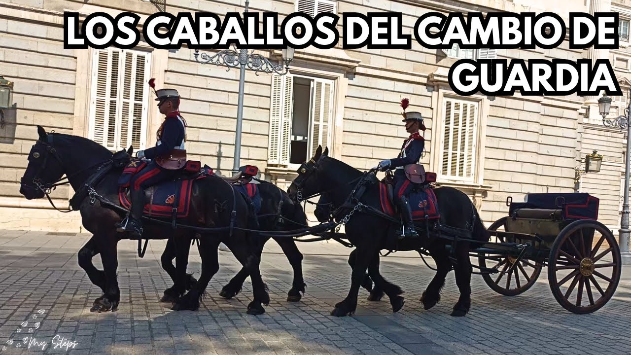 Los Caballos del Cambio de Guardia, Palacio Real de Madrid | Guard Horses at Madrid’s Royal Palace