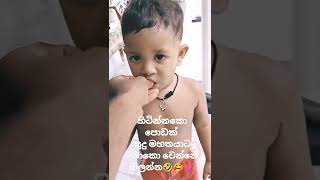 අප චට පතට දම ලයක එකක