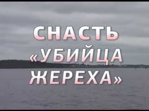 снасти для ловли голавля и жереха