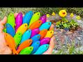 Catch beautiful aquarium Fish in Giant Colorful Eggs baby turles,Goldfish, Koi, betta Fish, Eel