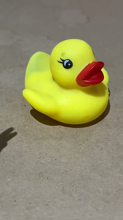 Parodi Mainan - Bebek karet mainan