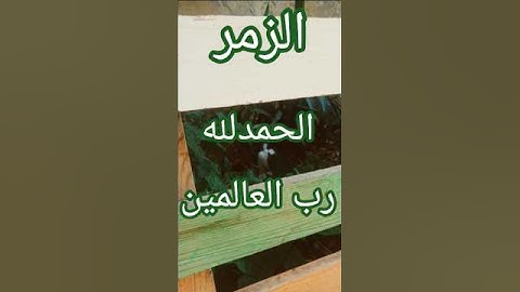 #سورة_الزمر #قرأن_كريم #cat #قطط #ترند#اكسبلور #قطة_الترند #قطة #قرآن #بلوجرز #اكسبلور ٢٩ / ٦ / ٢٠٢٥