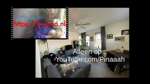 Stenders van Inkel en Carolien jingle Zie ook aangepaste omschrijving clip