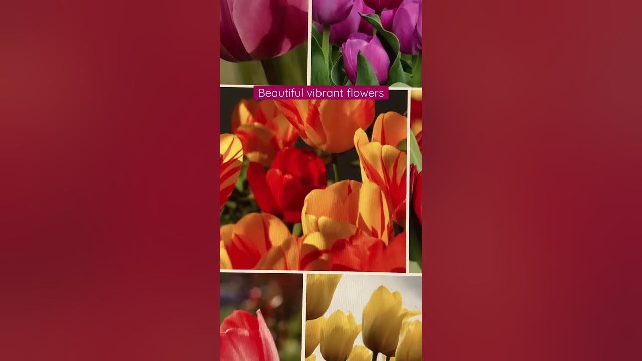 Unwind To Calming Piano Music And Birdsong YouTube unwind-to-calming-piano-music-and-birdsong-youtube