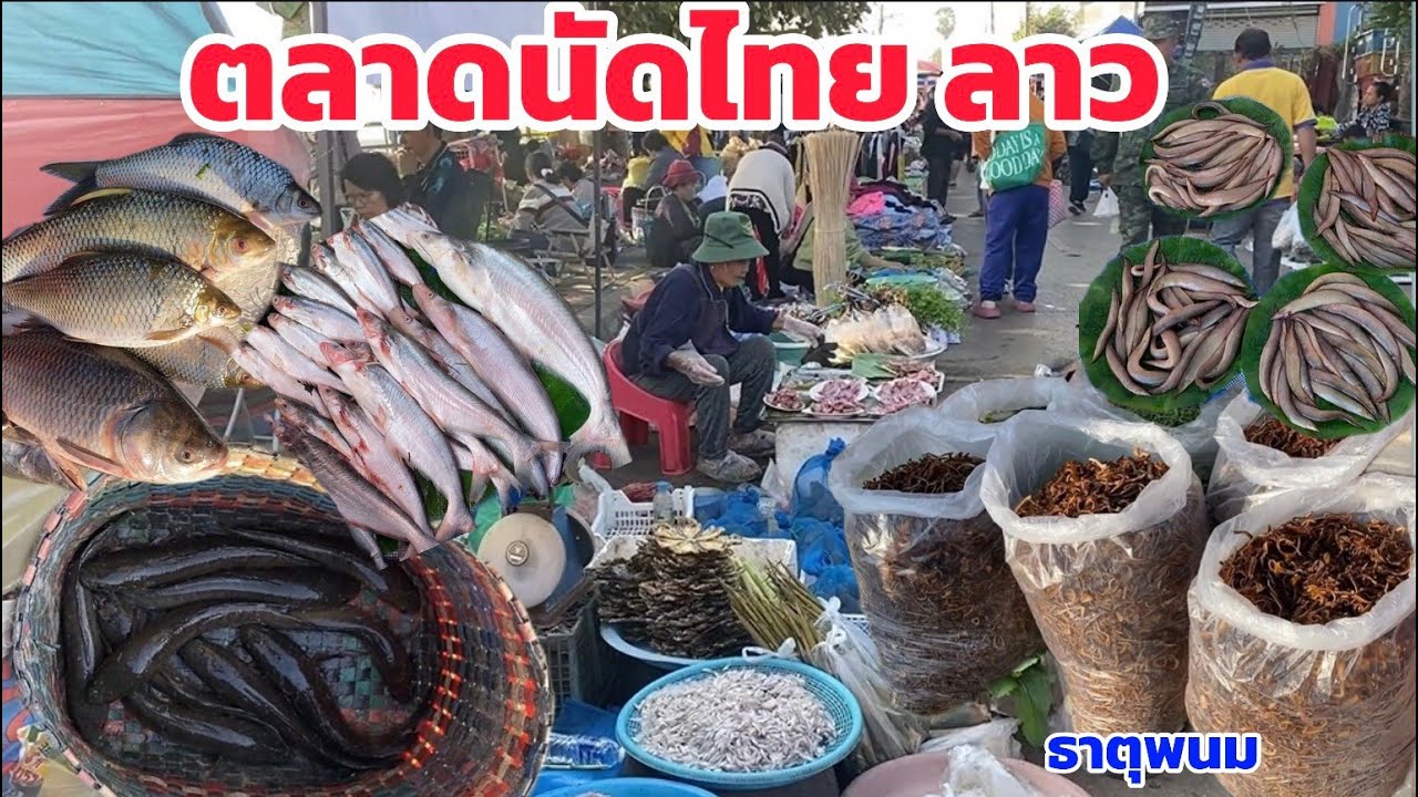 บรรยากาศตลาดนัดไทยลาว 8 ธค 68 ของป่า อาหารตามฤดูกาล ของกินของแซบอีสานบ้านเฮา 