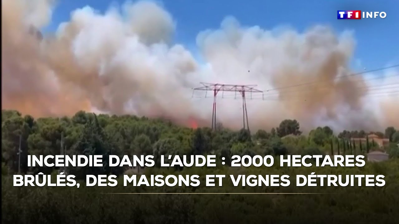 Incendie dans l'Aude : 2000 hectares brûlés, des maisons et vignes détruites｜TF1 INFO