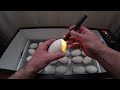Эксперимент//Инкубация гусиного двухжелткового яйца от А до Я