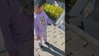 Umay Kuş Pisliğini Çikolata Sandı