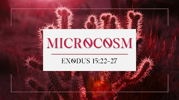 MICROCOSM (EXODUS 15:22-27)