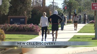 UA scientists find new link that could change medicine