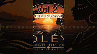 Vol.2 #afrohouse #deephouse #djmix #housemusic #melodichouse #afrogroove #afrotech #blackcoffee