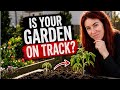 What Your Garden SHOULD Look Like Right Now 