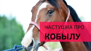 Частушка - На кобыле воевать