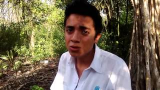WP 20140507 013