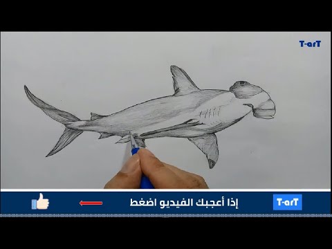 how to draw an antكيفية رسم نملة - YouTube