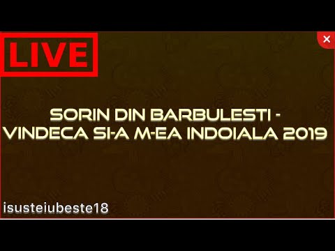 Sorin din Barbulesti - DOINÂ Vindeca si a mea indoiala 2019