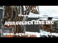 Cookworld aqua golden