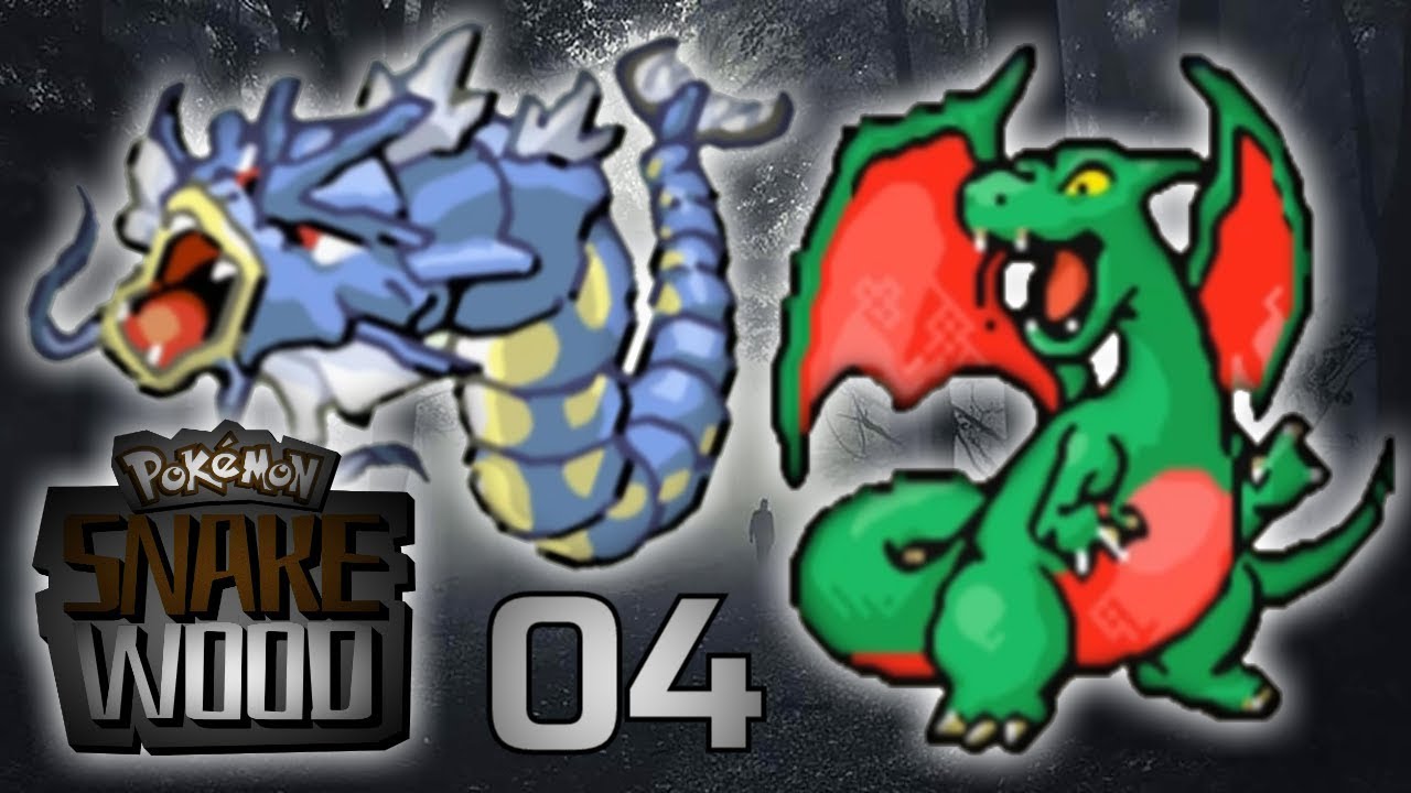 Surfs up! - Pokémon Snake Wood Let's Play! (Ruby Hack) Episode 4