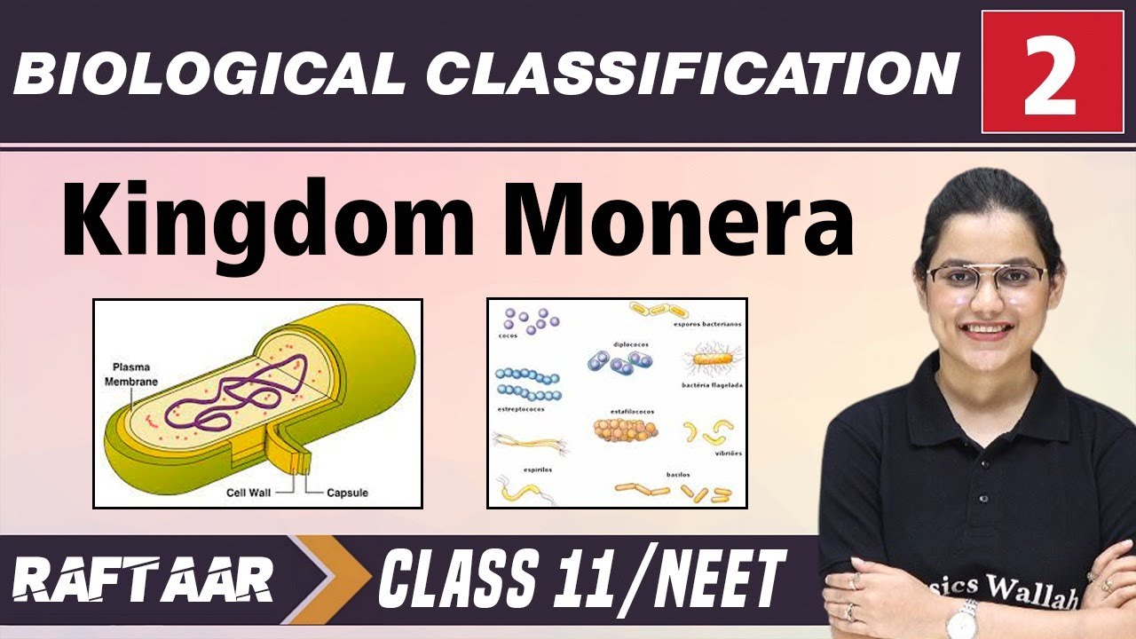 Biological Classification 02 | Kingdom Monera | Class 11/NEET | RAFTAAR