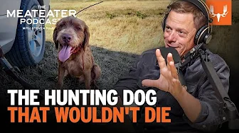 The Hunting Dog That Wouldn't Die | The MeatEater Podcast Ep. 774
