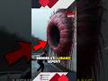 jangan pernah mendekati lubang misterius seperti ini😱‼️