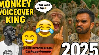 These Monkeys Got Me CRYING 😂
