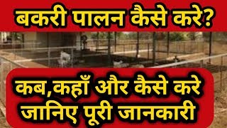 #bakripalan How to start goat farm in India | बकरी पालन कैसे शुरू करे।Goat Farming in India |