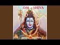 Shiva maheshwara