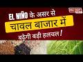 El Niño के असर से चावल बाजार में बढ़ेगी बड़ी हलचल ! #ElNino #rice #chawal #weather #wheat #mausam