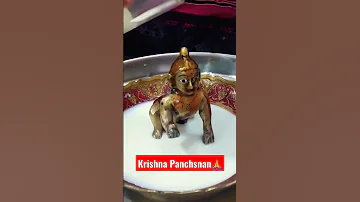 लड ड ग प ल क प च म त स न न क स करव ए Panchamrit Snan Janmashtami Janmashtamispecial 