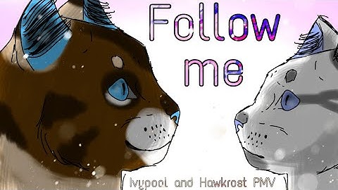 ☆ [OLD !!] Follow me | Hawkrost and Ivypool PMV | FLASHING WARNING ! ☆