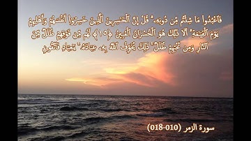 تلاوة جد رائعة بصوت الشيخ أبوبكر مومني حفظه الله - ما تيسرمن سورتي الزمر وفصلت