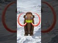 The Ice Age Wasn’t Empty. It Was Worse