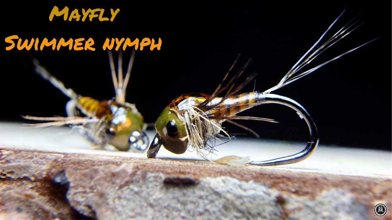 Fly tying MAYFLY SWIMMER NYMPH by G YouTube