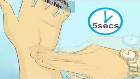 How to Check Your Pluse | Finding the Radial Pulse at home With Easy methods