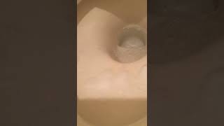 オリジナルトイレ泡スプレー洗剤