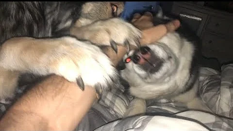 How Every Day Is Started