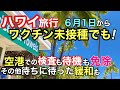 【ハワイ旅行も緩和!】ワクチン未接種でも！６月１日から日本入国時の検査免除！その他続々水際対策緩和でハワイ旅行で空港待機が更に時短になる！これが大幅緩和の全貌です［ハワイの今］