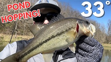 WINTER POND HOPPING for BASS (Kayak and Bank Fishing)