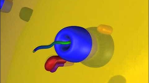 Protein targeting - to the Mitochondria