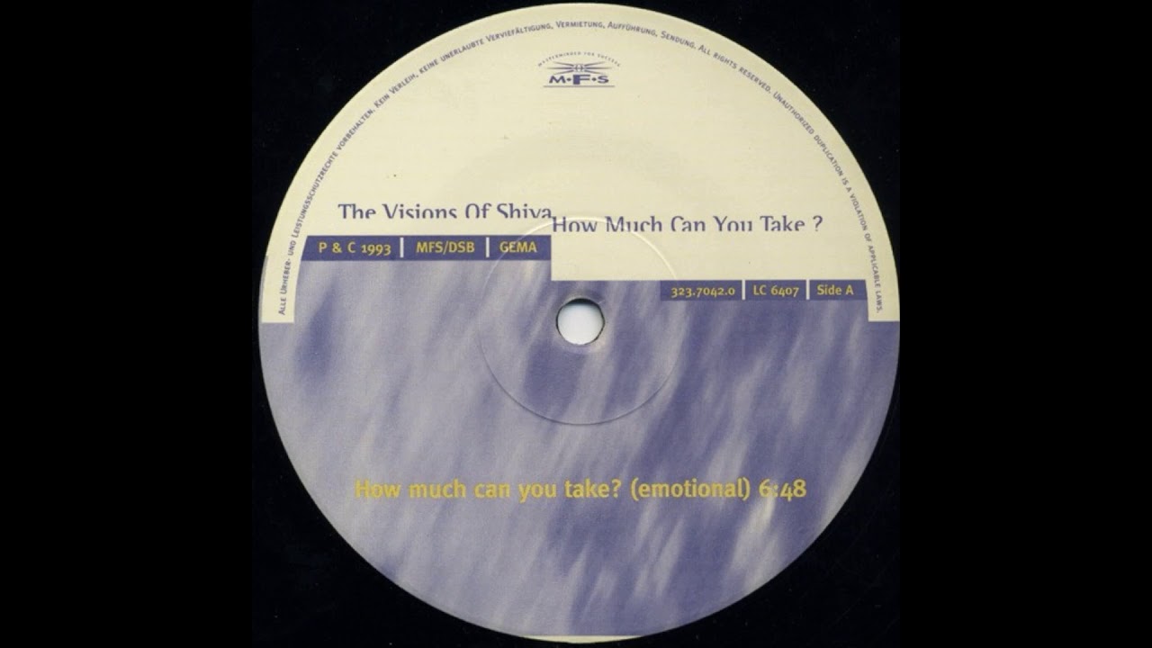 The Visions Of Shiva ‎– How Much Can You Take (Emotional) 1993